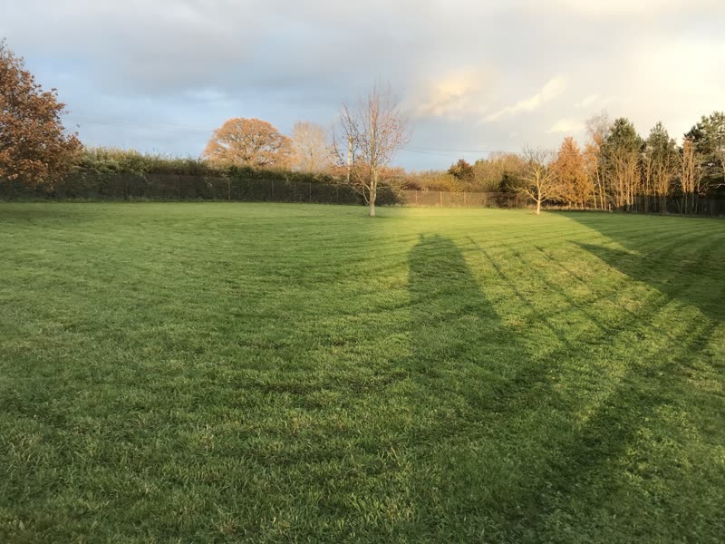 The empty grass paddock at Chadwyns Farm at golden hour, long shadows and autumn trees along the treeline